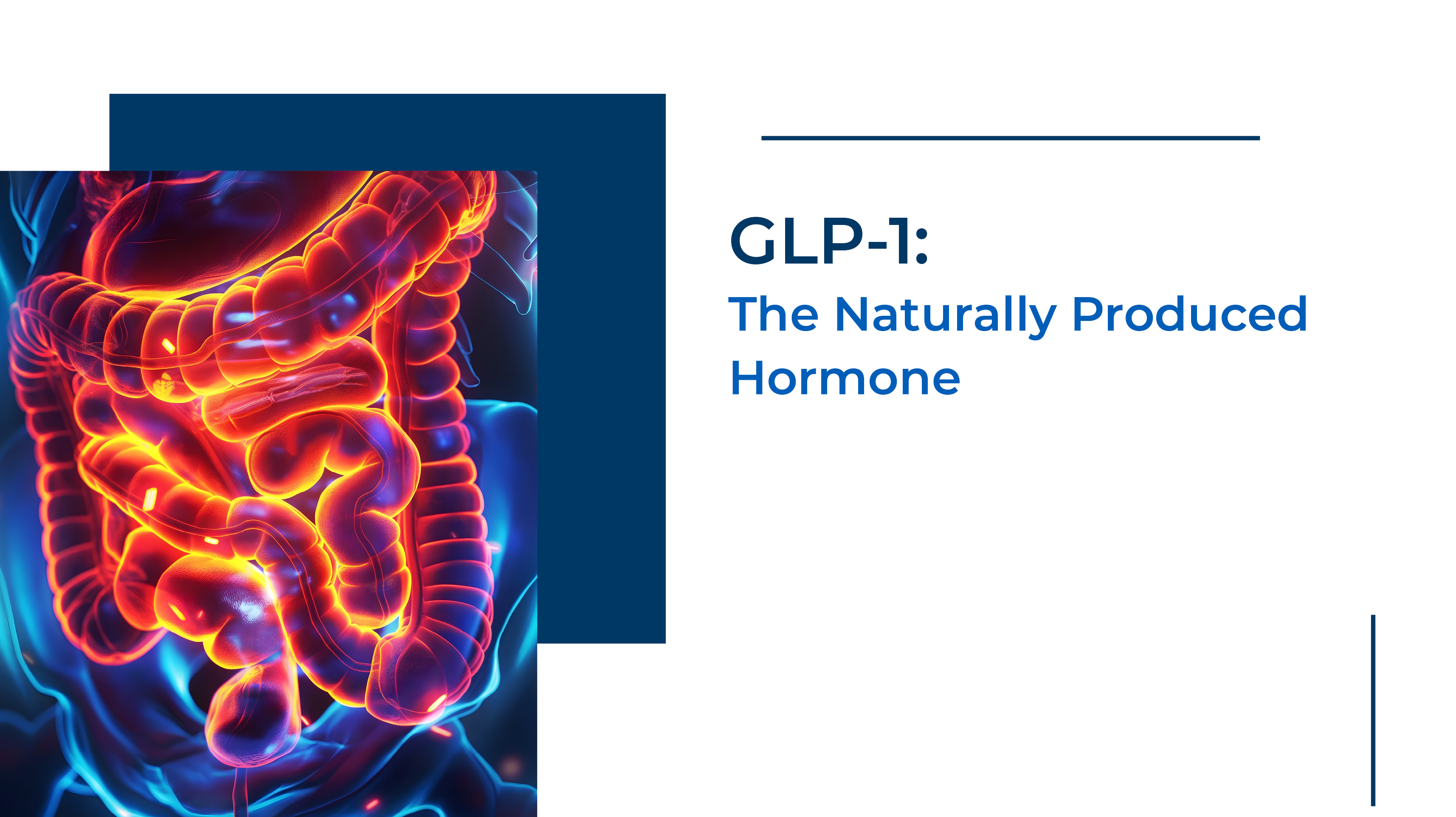 lilly glp 1 GLP-1 analogs, new trend in obesity treatment, become even more effective <  Pharma < Article