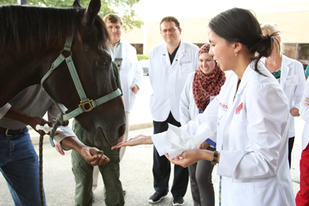 Register for your Course Here!